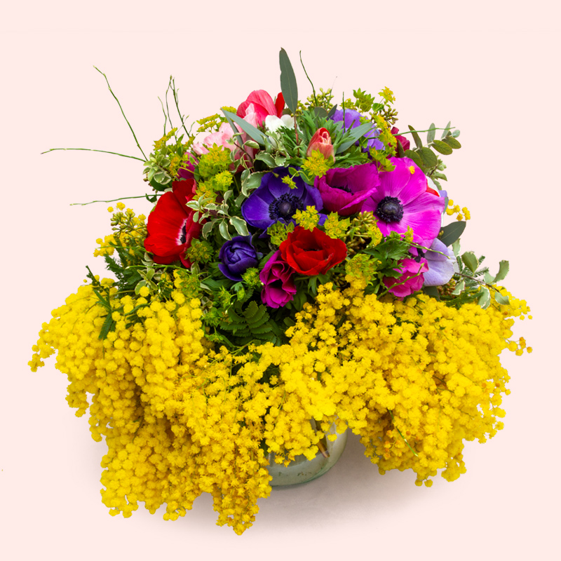 COMPOSIZIONE MIMOSA