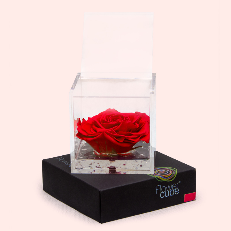 FLOWER CUBE