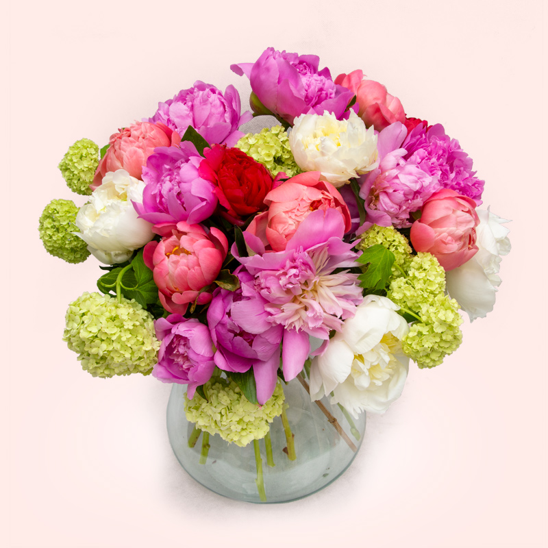 PEONIE A NUMERO