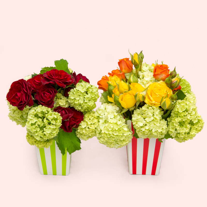 POPCORN La Mia Fioraia