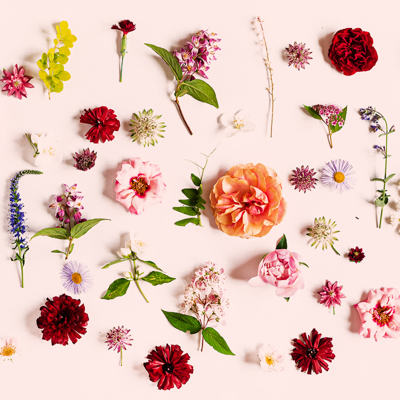 Fiori generici